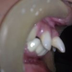 dental clinic kollam